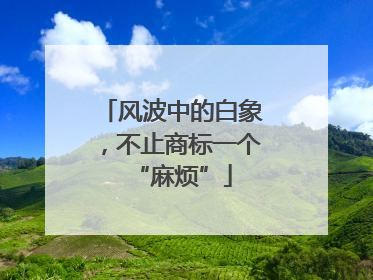 风波中的白象，不止商标一个“麻烦”