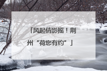 风起倩影摇！荆州“荷您有约”