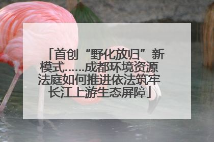首创“野化放归”新模式……成都环境资源法庭如何推进依法筑牢长江上游生态屏障