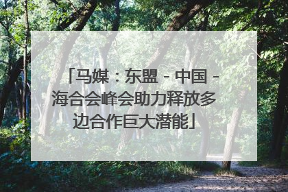 马媒：东盟－中国－海合会峰会助力释放多边合作巨大潜能