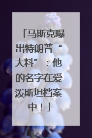 马斯克曝出特朗普“大料”：他的名字在爱泼斯坦档案中！