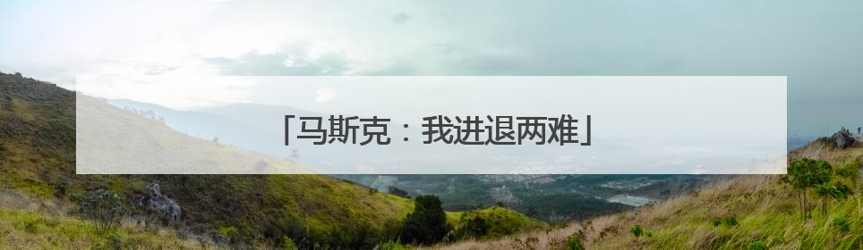 马斯克：我进退两难