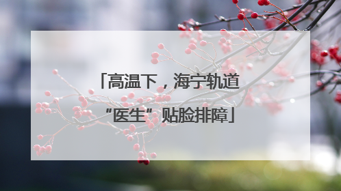 高温下，海宁轨道“医生”贴脸排障