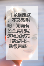 龙狮跳跃、花鼓戏唱响！湖南有色金属职院这场沉浸式非遗游园活动很带感