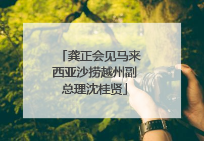 龚正会见马来西亚沙捞越州副总理沈桂贤