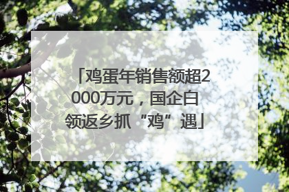 鸡蛋年销售额超2000万元，国企白领返乡抓“鸡”遇