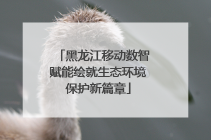 黑龙江移动数智赋能绘就生态环境保护新篇章