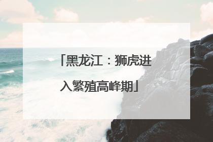 黑龙江：狮虎进入繁殖高峰期