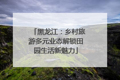 黑龙江：乡村旅游多元业态解锁田园生活新魅力