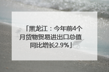黑龙江：今年前4个月货物贸易进出口总值同比增长2.9%