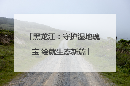 黑龙江：守护湿地瑰宝 绘就生态新篇