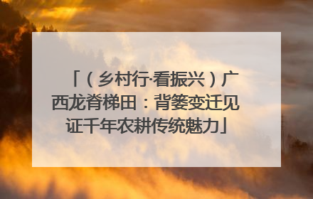 （乡村行·看振兴）广西龙脊梯田：背篓变迁见证千年农耕传统魅力