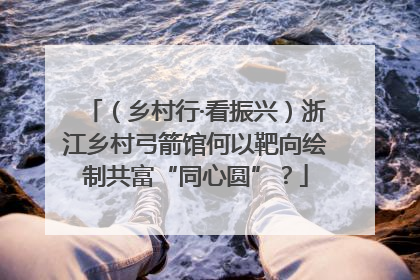 （乡村行·看振兴）浙江乡村弓箭馆何以靶向绘制共富“同心圆”？