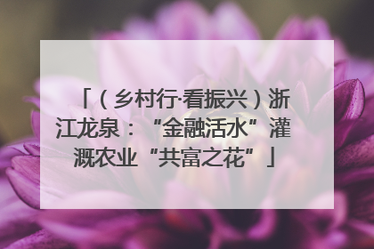 （乡村行·看振兴）浙江龙泉：“金融活水”灌溉农业“共富之花”