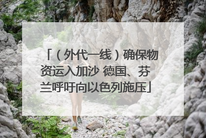 （外代一线）确保物资运入加沙 德国、芬兰呼吁向以色列施压