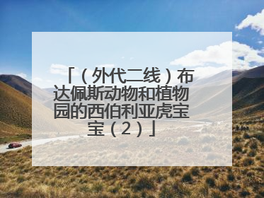 （外代二线）布达佩斯动物和植物园的西伯利亚虎宝宝（2）