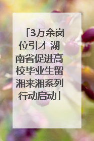 3万余岗位引才 湖南省促进高校毕业生留湘来湘系列行动启动