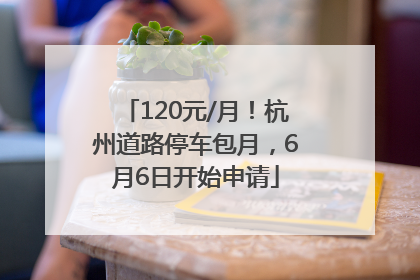 120元/月！杭州道路停车包月，6月6日开始申请