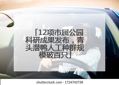 12项市属公园科研成果发布，青头潜鸭人工种群规模破百只