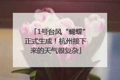 1号台风“蝴蝶”正式生成！杭州接下来的天气很复杂