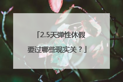 2.5天弹性休假要过哪些现实关？