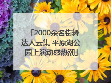 2000余名街舞达人云集 平原湖公园上演动感热潮