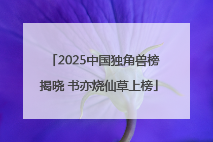 2025中国独角兽榜揭晓 书亦烧仙草上榜