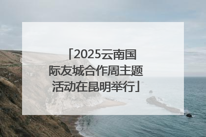 2025云南国际友城合作周主题活动在昆明举行