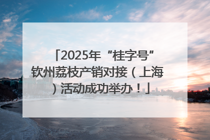 2025年“桂字号”钦州荔枝产销对接（上海）活动成功举办！