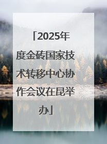 2025年度金砖国家技术转移中心协作会议在昆举办