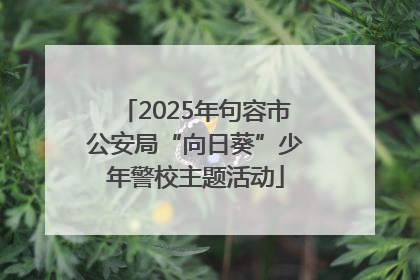 2025年句容市公安局“向日葵”少年警校主题活动
