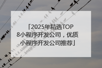 2025年精选TOP8小程序开发公司，优质小程序开发公司推荐