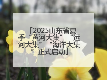 2025山东省夏季“黄河大集”“运河大集”“海洋大集”正式启动