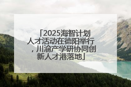 2025海智计划人才活动在德阳举行，川渝产学研协同创新人才港落地