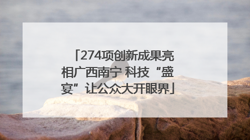 274项创新成果亮相广西南宁 科技“盛宴”让公众大开眼界