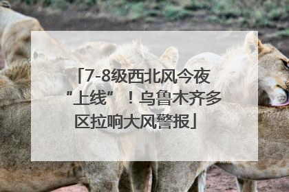 7-8级西北风今夜“上线”！乌鲁木齐多区拉响大风警报