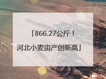 866.27公斤！河北小麦亩产创新高