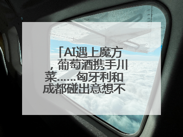 AI遇上魔方，葡萄酒携手川菜……匈牙利和成都碰出意想不到的合作机会