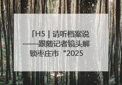 H5｜请听档案说——跟随记者镜头解锁枣庄市“2025国际档案日”的N种打开方式